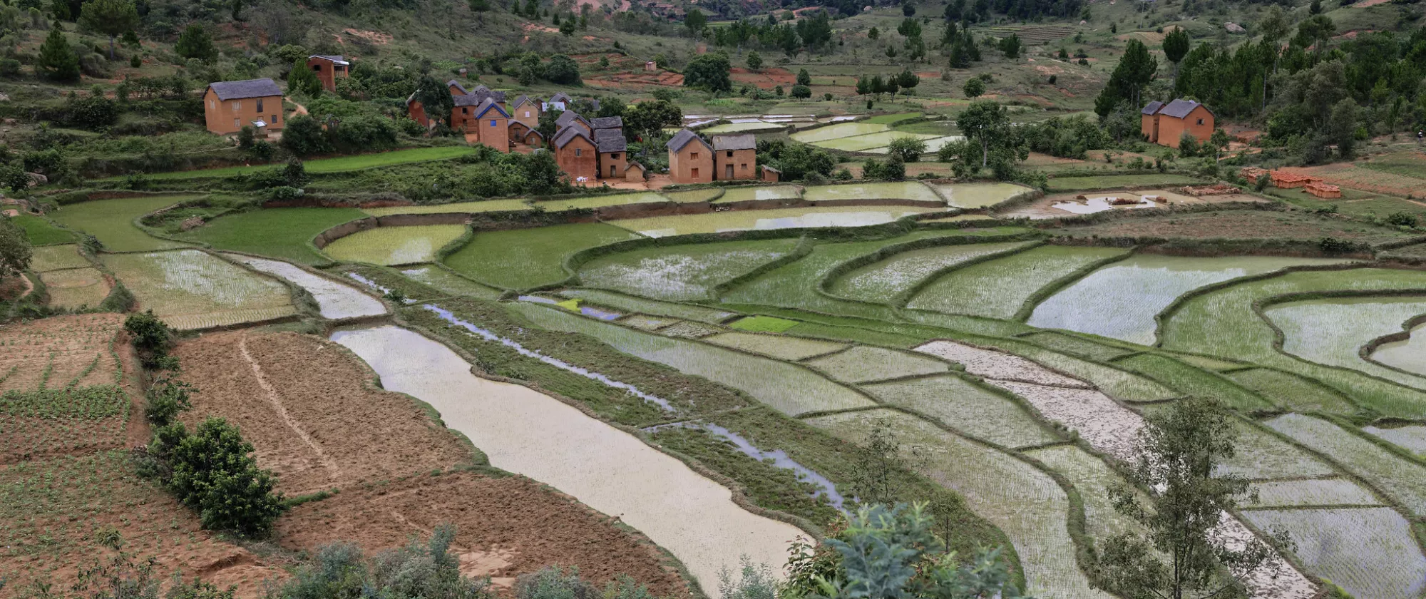 Field of agriculture